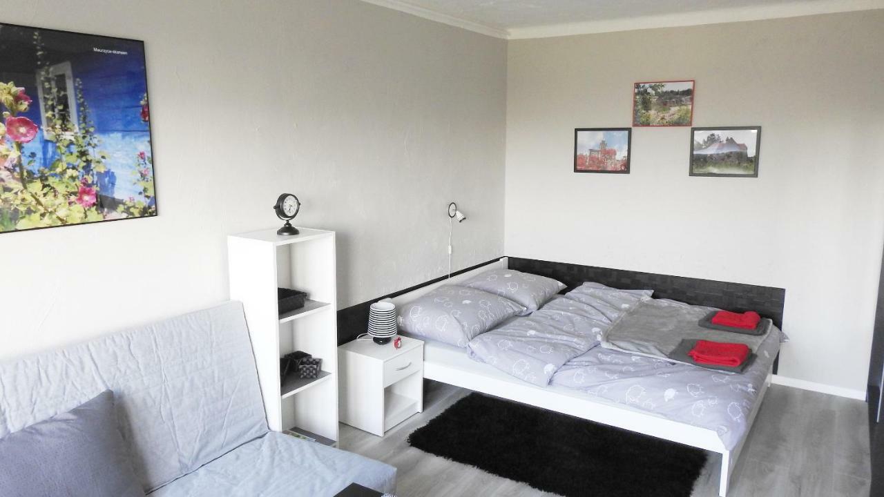 Апартаменти Apartament Kotewka Затор Екстер'єр фото